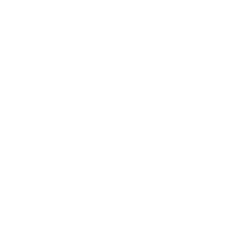 DenseSmoky's emblem