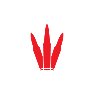 14dakota14's emblem
