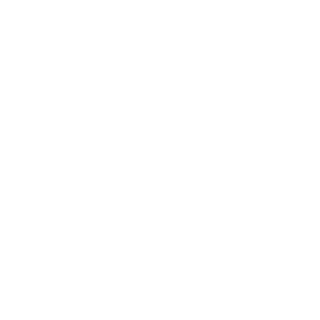 TheBoss99NL's emblem