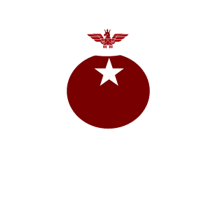 TurcomanTR's emblem