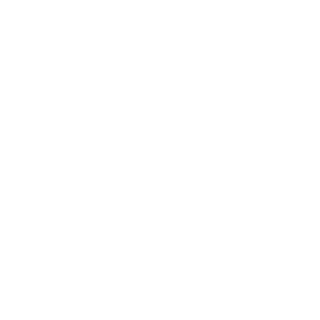 Nathanzgamer23's emblem