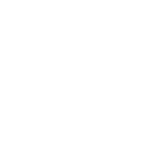 lllIVectorIlll's emblem