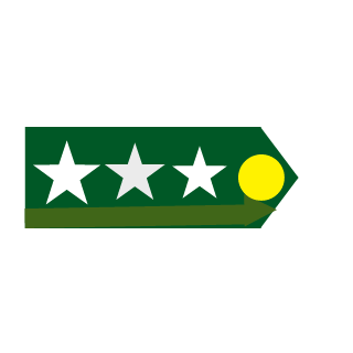 vitimky's emblem