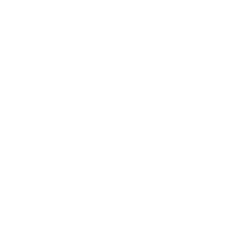 D_E_L_T_A_31rus's emblem