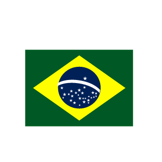 1SGT_MORAES_BR's emblem