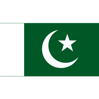 UMAIR-PAK29's emblem