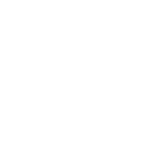 AviatorLogic's emblem