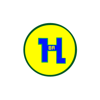 Hemmzzi_BR's emblem