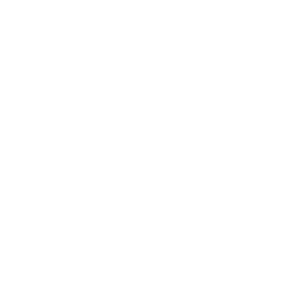 MSG01's emblem