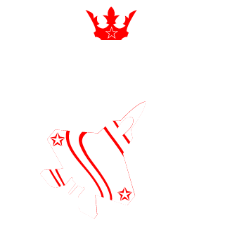 Cy-50's emblem