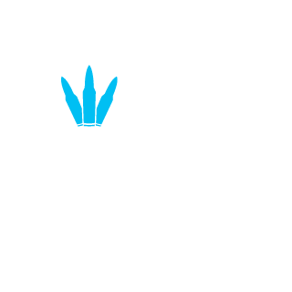 8FeeLGooD8's emblem