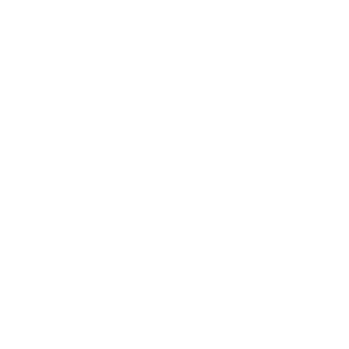 PLAYA8602's emblem