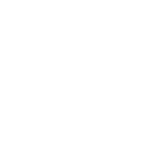 ttcorona's emblem