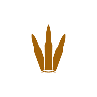 wz0526z's emblem