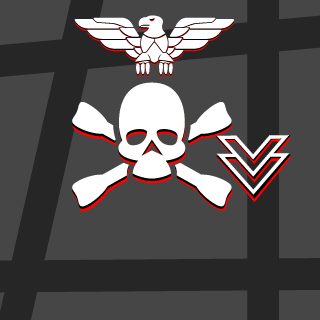 veveTX's emblem