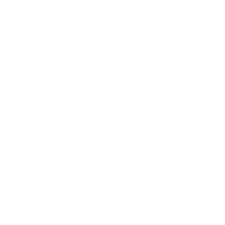 TheShlicker's emblem