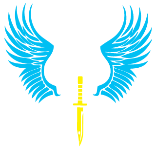 hawk team's emblem