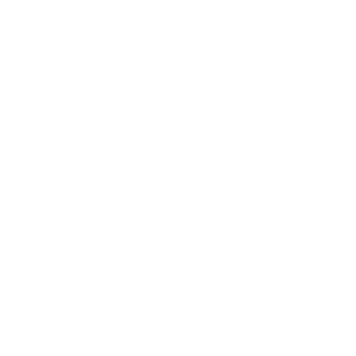 ACEcon101's emblem