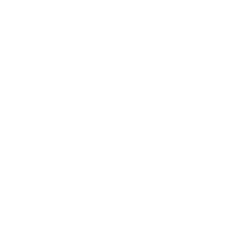IBMPro's emblem