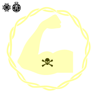 General_Berghuis's emblem