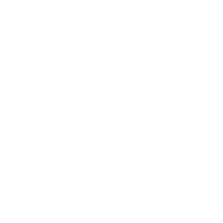 vzriv_20's emblem