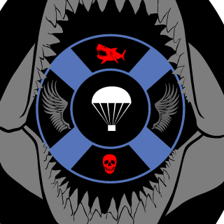 5r0vi4's emblem