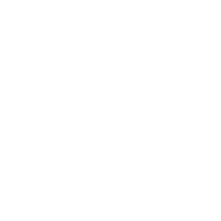 RYON_FIRE_70's emblem