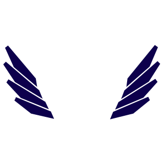 elay01's emblem
