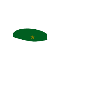 1ST4LKER1's emblem
