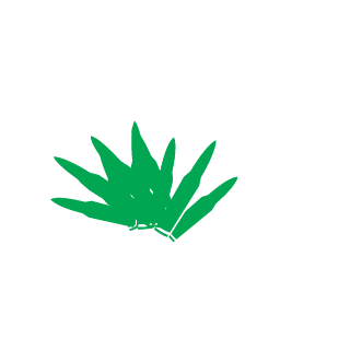 1Finnian's emblem