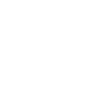 lYip_Yapl's emblem