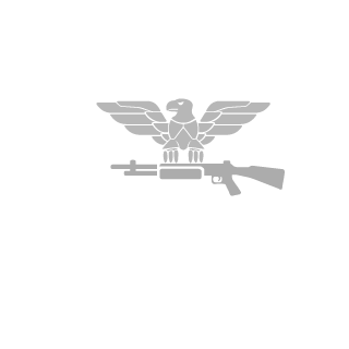 062643347's emblem