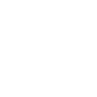 fantastictime's emblem