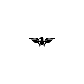 888Y-822W-CAYQ-U's emblem