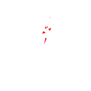 schlingelmann71's emblem