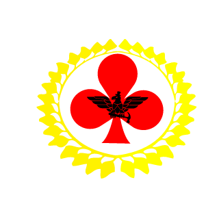 Cr4shSeven's emblem