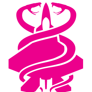 aknyz's emblem