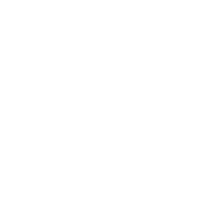 -AHLK-YE's emblem
