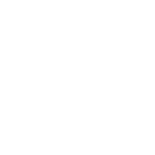OttoFonPixel's emblem