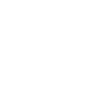 LHSMT's emblem
