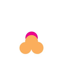 stynxoff's emblem
