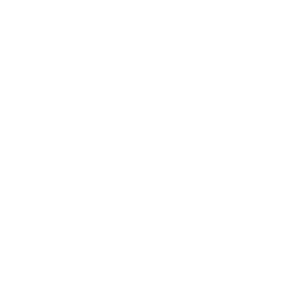 ElectricRifle's emblem