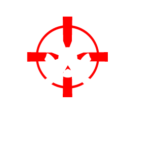 Airborne320's emblem