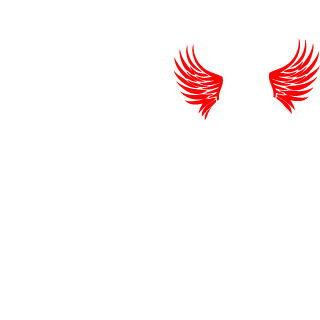 BidoofTheDoof's emblem