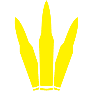 IxYOLOSWAGINSxI's emblem