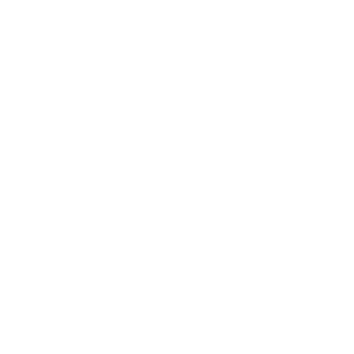 CrazyDiz69's emblem