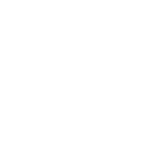 DNIW3's emblem