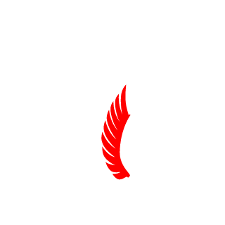 Lightfire123's emblem