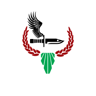 francisco-ce's emblem