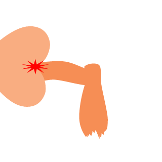 Silly Goose 8P's emblem